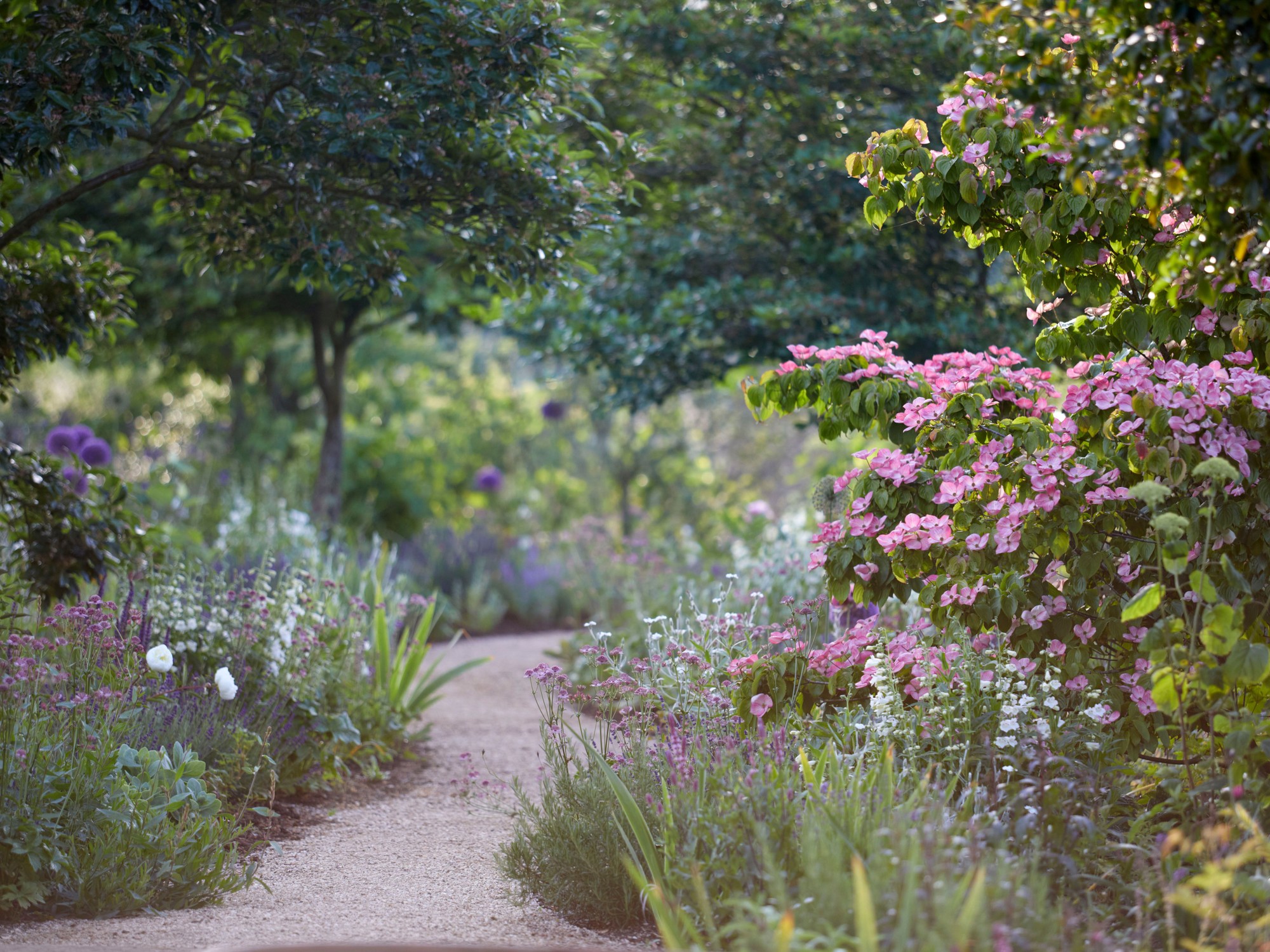 Garden Wall Construction