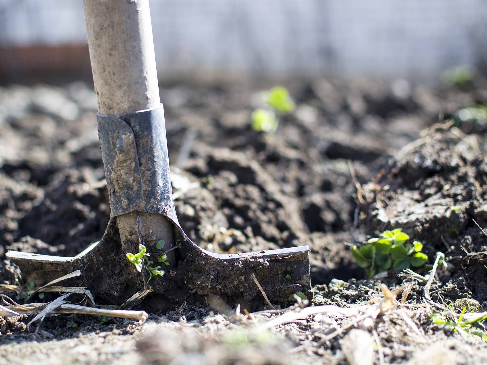 Tree stump removal after felling