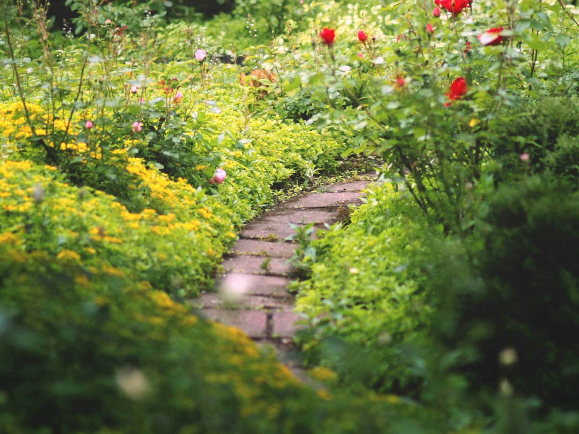 Garden Path