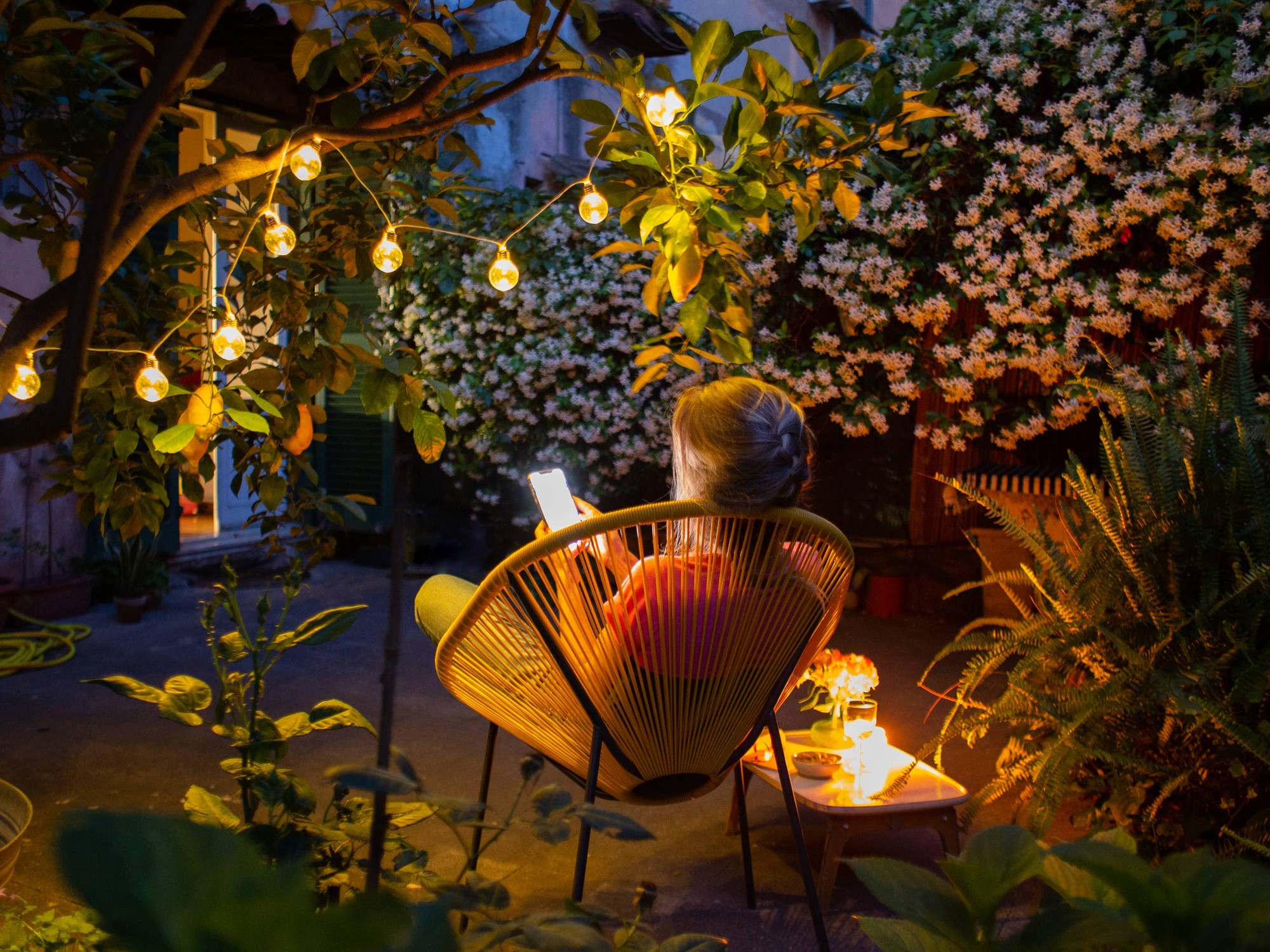 Tree pruning in a London garden