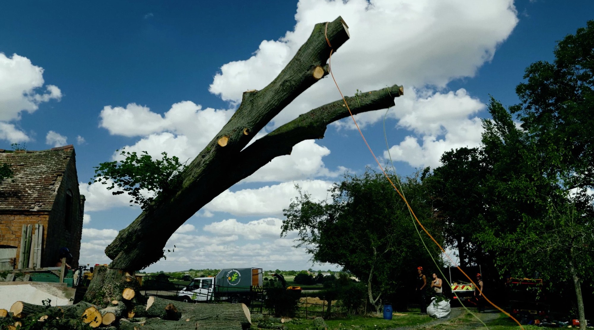 Tree Services services by Arc Home Improvements in London